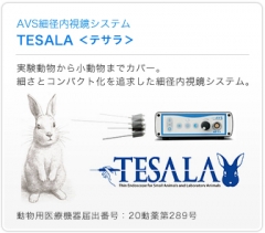 AVS 細径内視鏡システム TESALA